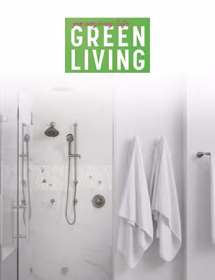 The Future of Luxury Homes Where Wellness Meets Sustainability