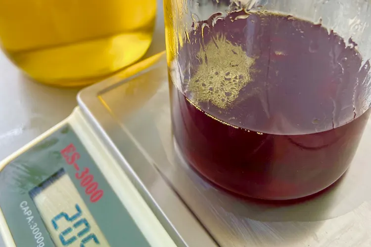 A glass beaker of reddish-rown coloured pumpkin seed oil on a scales.