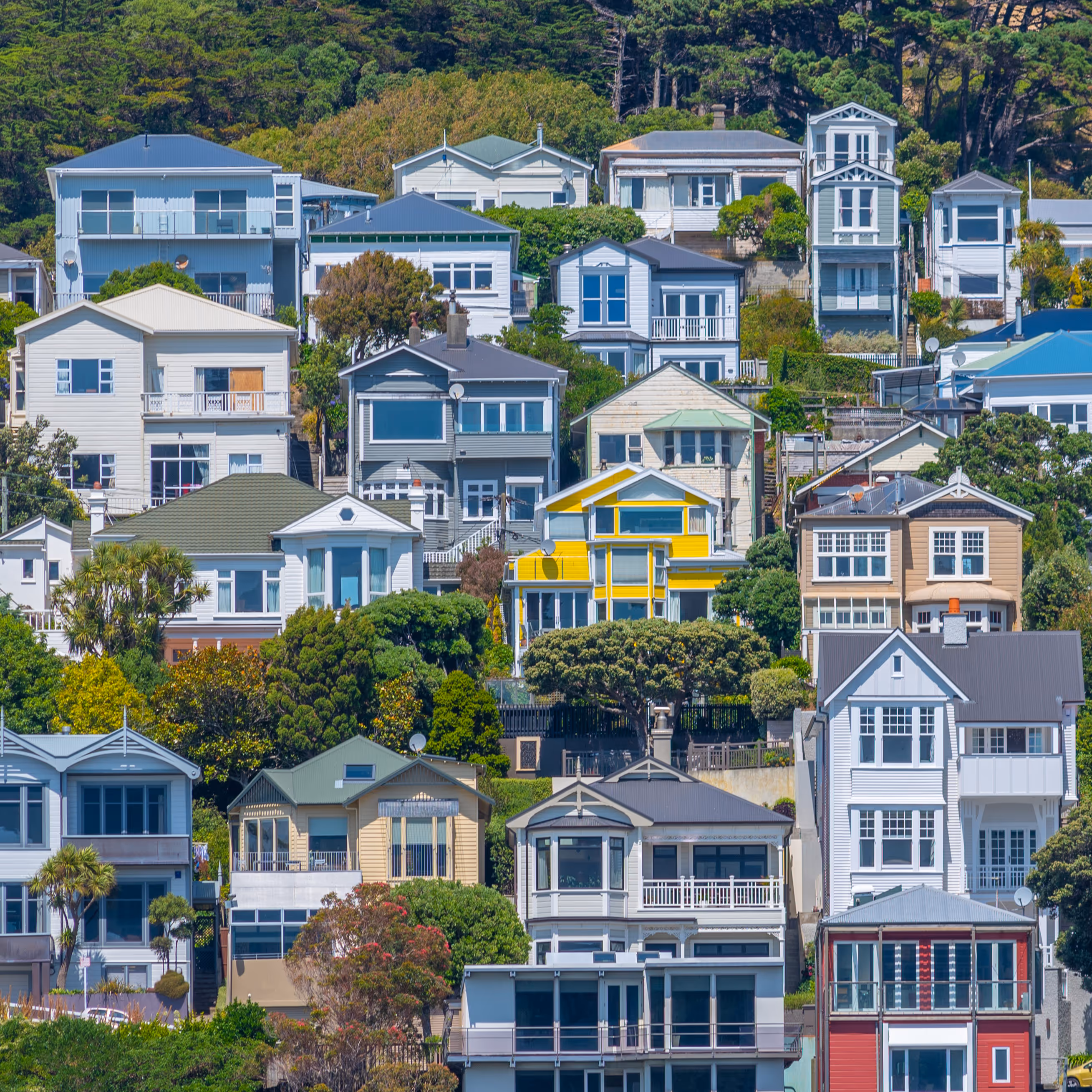 NZ Housing Policy Changes: What They Mean for You