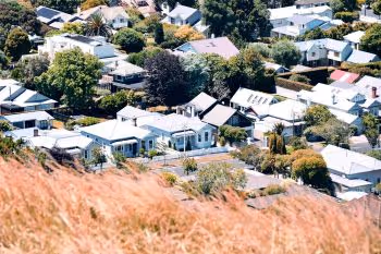 Why Covid hasn’t crushed the NZ housing market