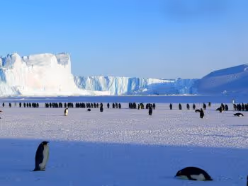 An investing story from Antarctic explorers