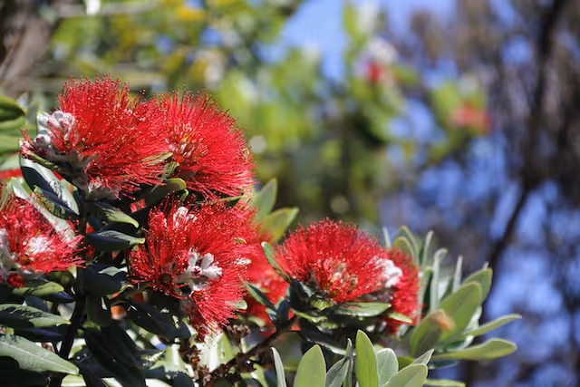 Get your finances back on track after the holidays