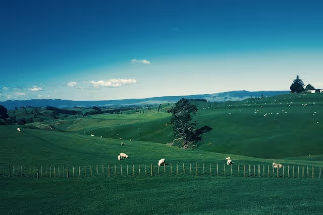 Should You Buy Land to Build a House in NZ?