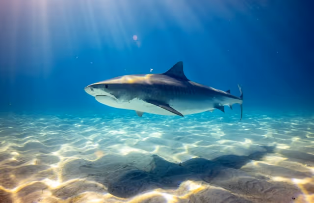 The Worst Financial Rip-Offs in 2026