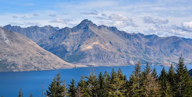 How Wealthy New Zealanders Invest Their Money