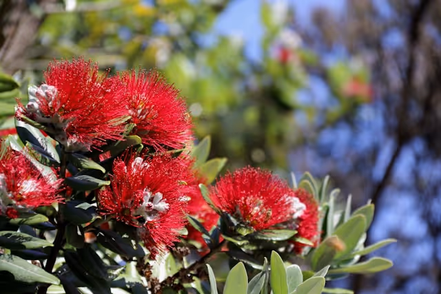 Your Christmas Financial Blueprint