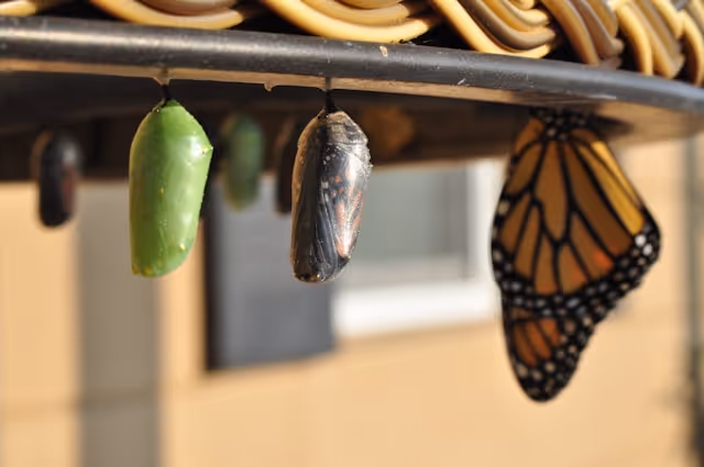 The Number One Reason Your Money Isn’t Growing