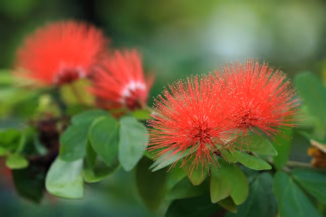 How to Have a Great Summer on a Tight Budget