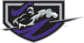 Middle Georgia State University Athletics Logo