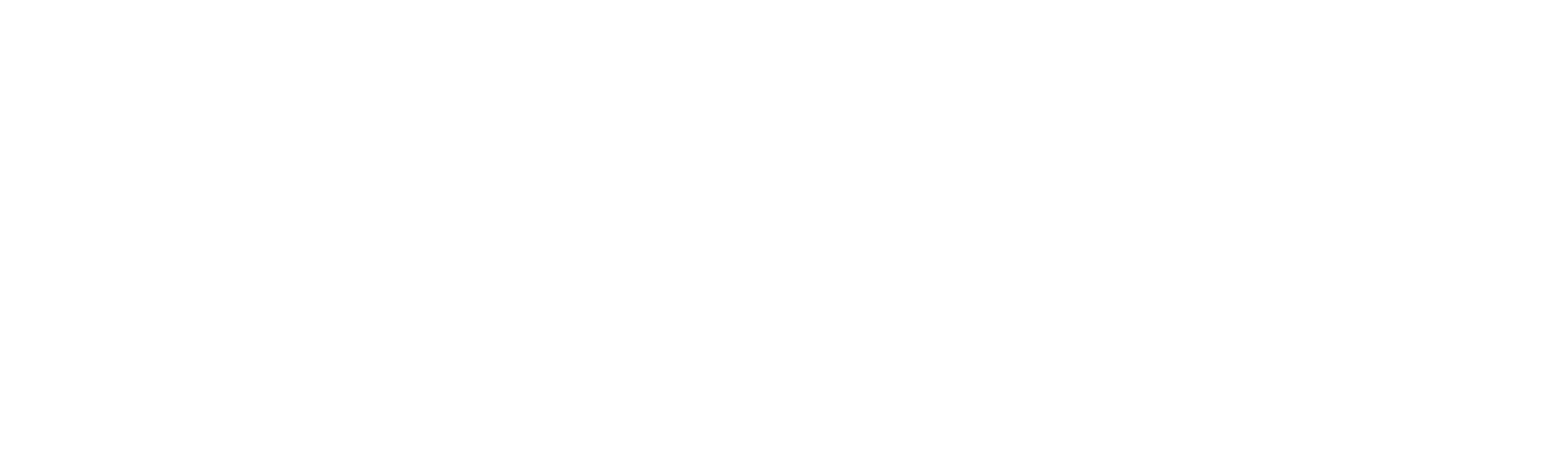 Designer Custom Source primary logo in all white