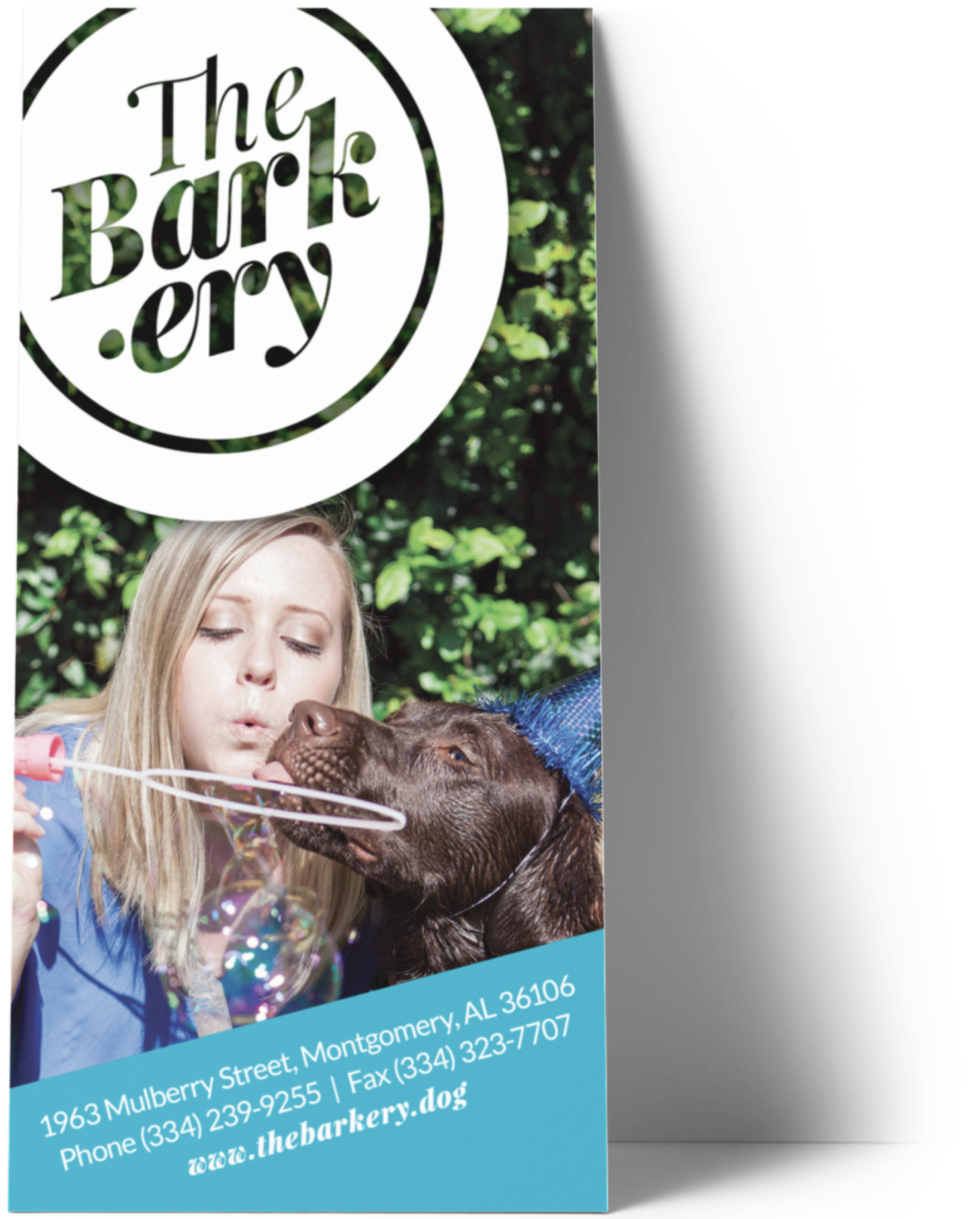 The Barkery countertop rack card featuring a girl blowing bubbles with a chocolate lab wearing a birthday hat