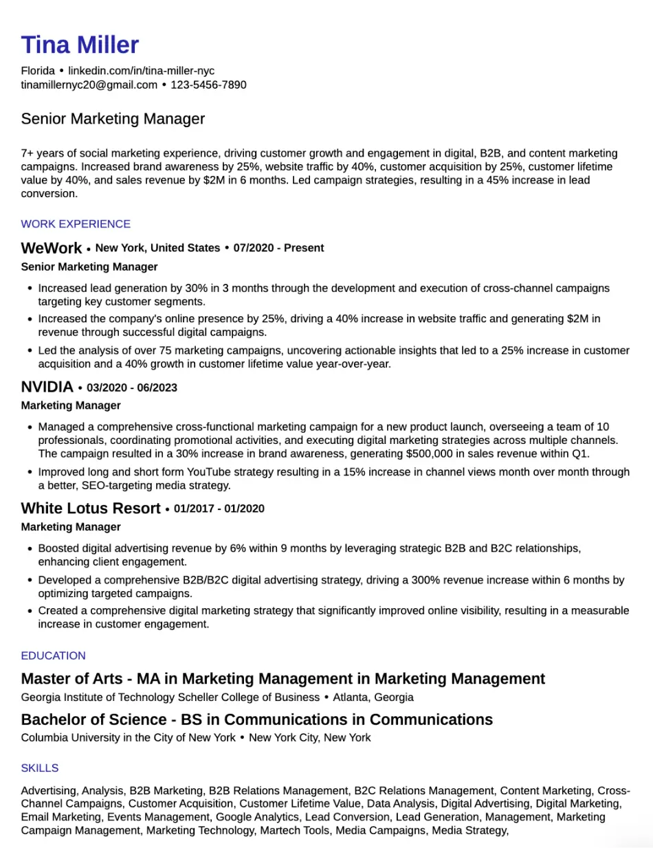 Professional Resume Template