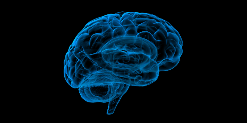 🧠 Unlocking The Brain’s Blueprint: Celebrate Brain Awareness Week 2026