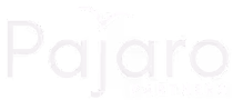 Logo with an arrow and stylized text 'Everest Group PEAK MATRIX'.