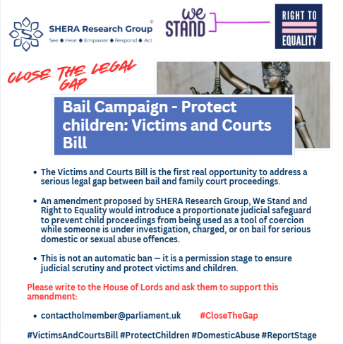   Bail, Family Courts and Child Safety: Why the Law Must Change  