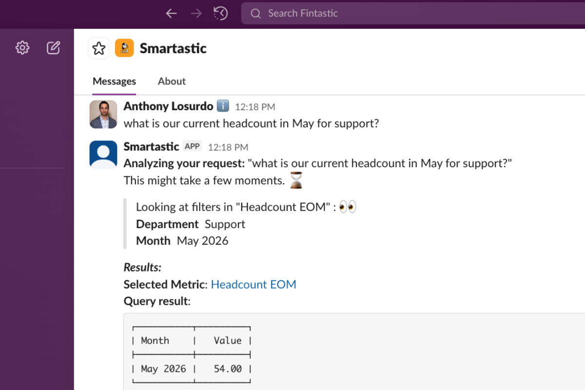 Fintastic AI natural language query interface