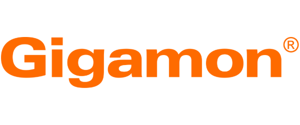 Gigamon