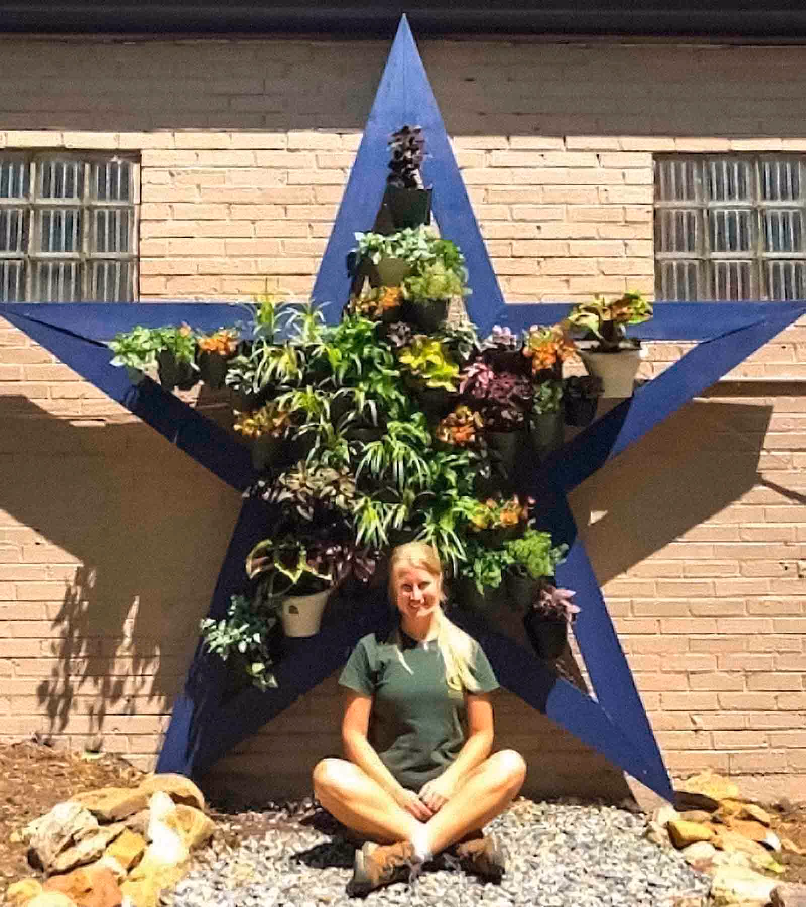 Plants growing on wall or green wall