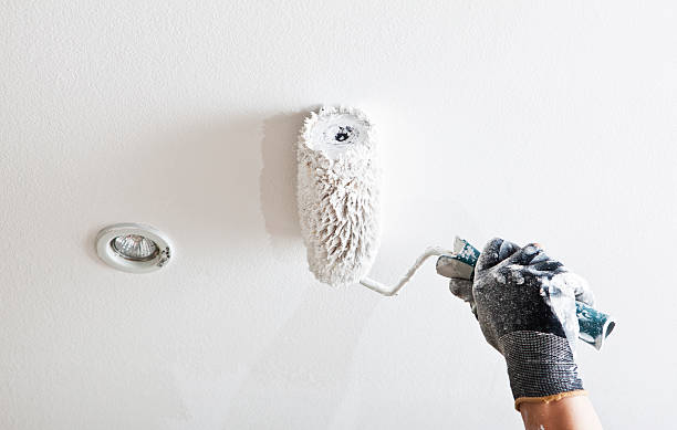 Application de peinture sur un plafond avec un rouleau à peinture