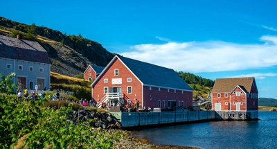 Colourful waterfront buildings in Newfoundland and Labrador, Canada, where Phoenix provides online men's healthcare services.