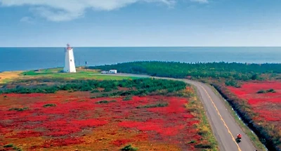 Scenic coastal road and lighthouse in New Brunswick, Canada, where Phoenix provides online men's health services.