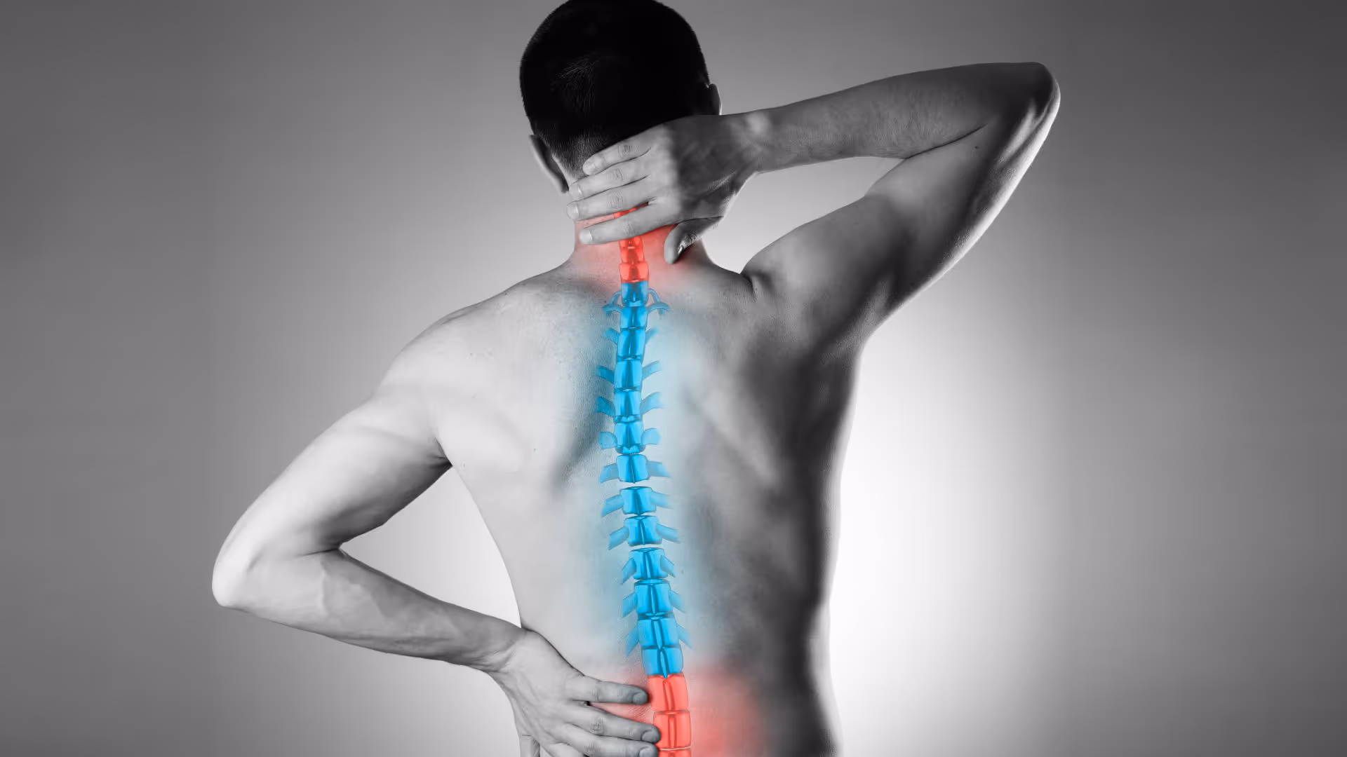Orthopedic Spine and Scoliosis Surgery