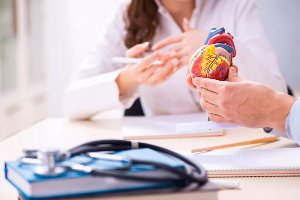 Heart Cardiology and Vascular System