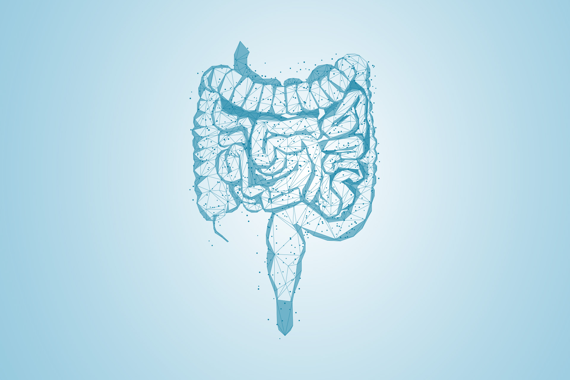 باقات صحة الجهاز الهضمي