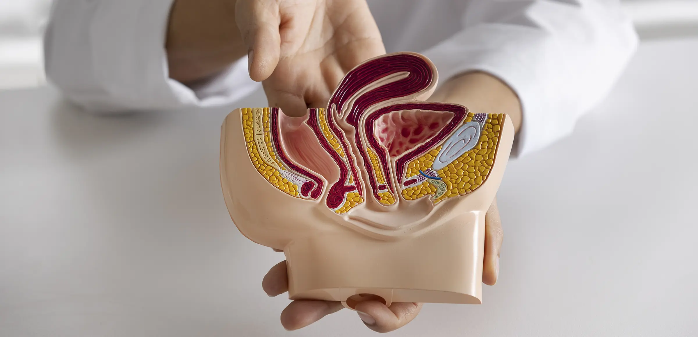 ما هو سرطان الخصية؟