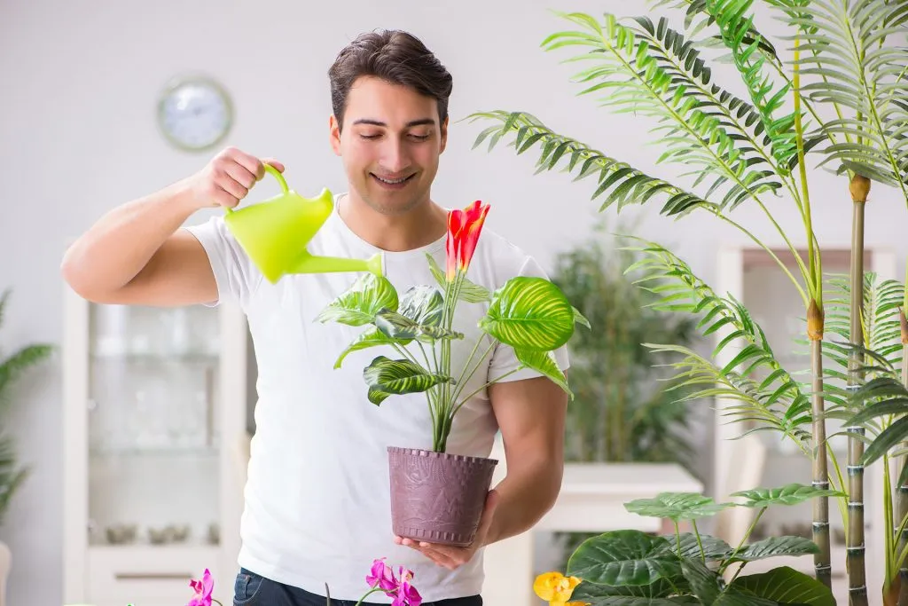 الاستئصال التلسكوبي للبروستاتا