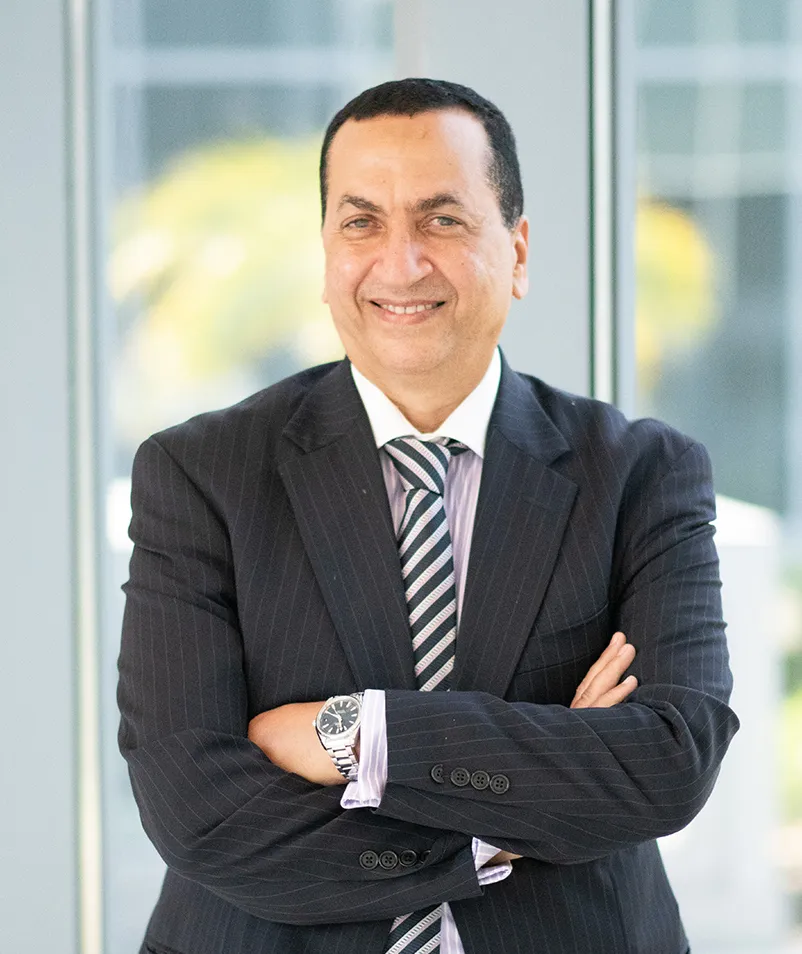 Dr. Abdelbasset Elessawy