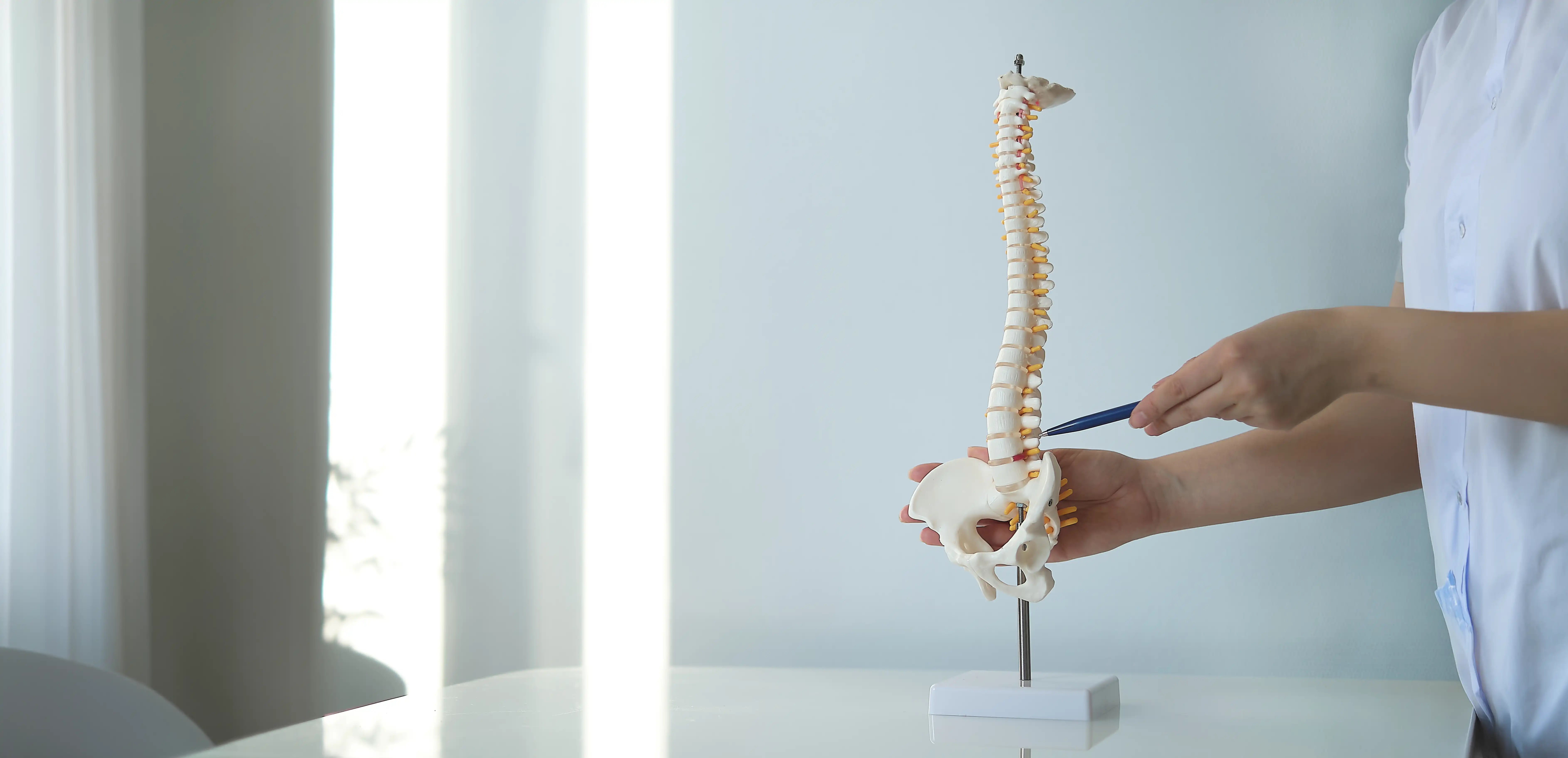 Adult Scoliosis: Symptoms, Causes, Diagnosis, and Treatment