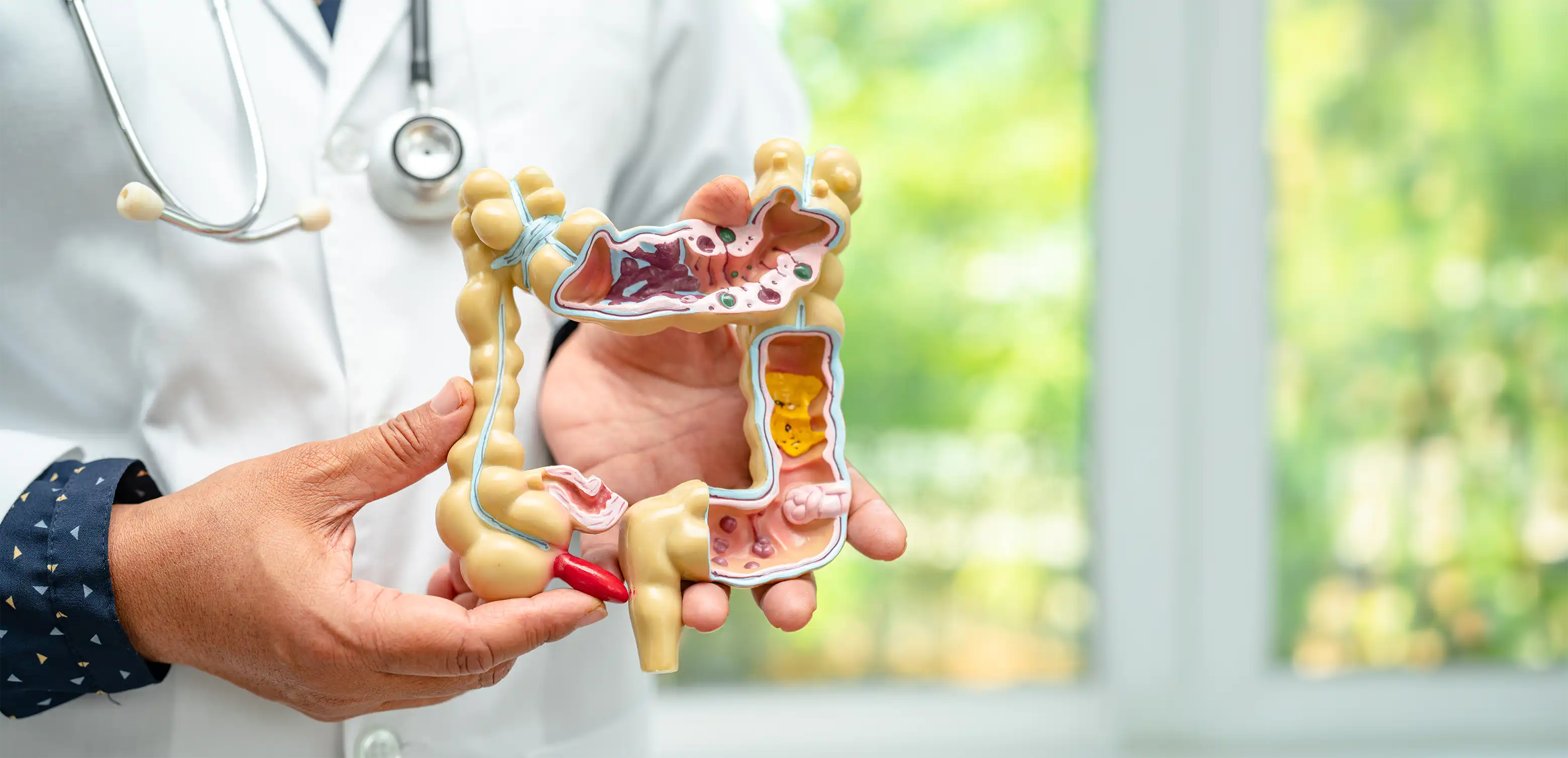 Is IBS Psychological or Neurological? Understanding the Brain-Gut Axis