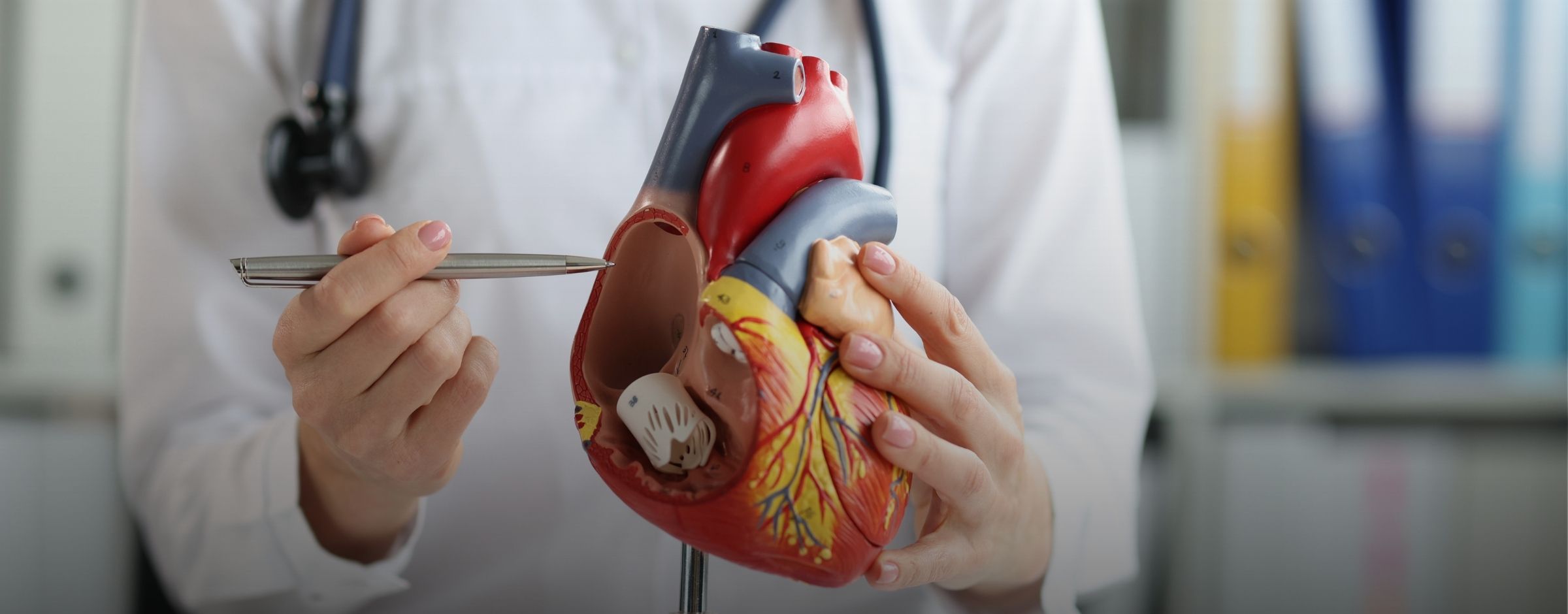 طب أمراض القلب والأوعية الدموية