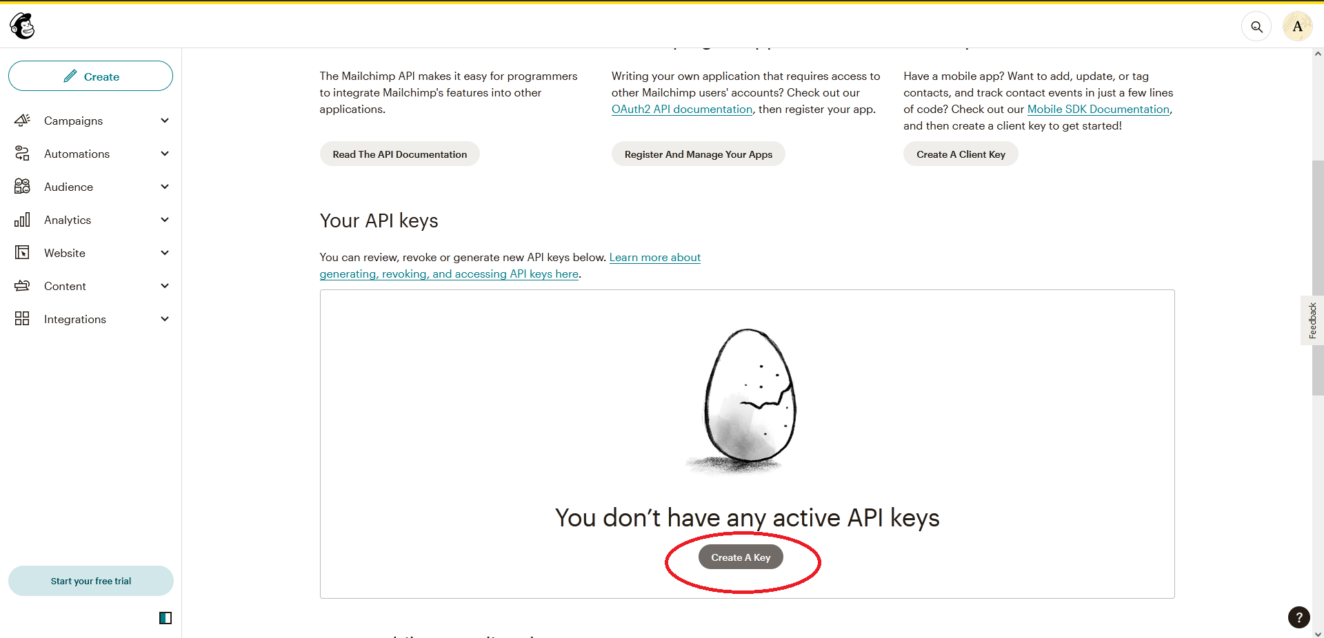 Mailchimp API keys page