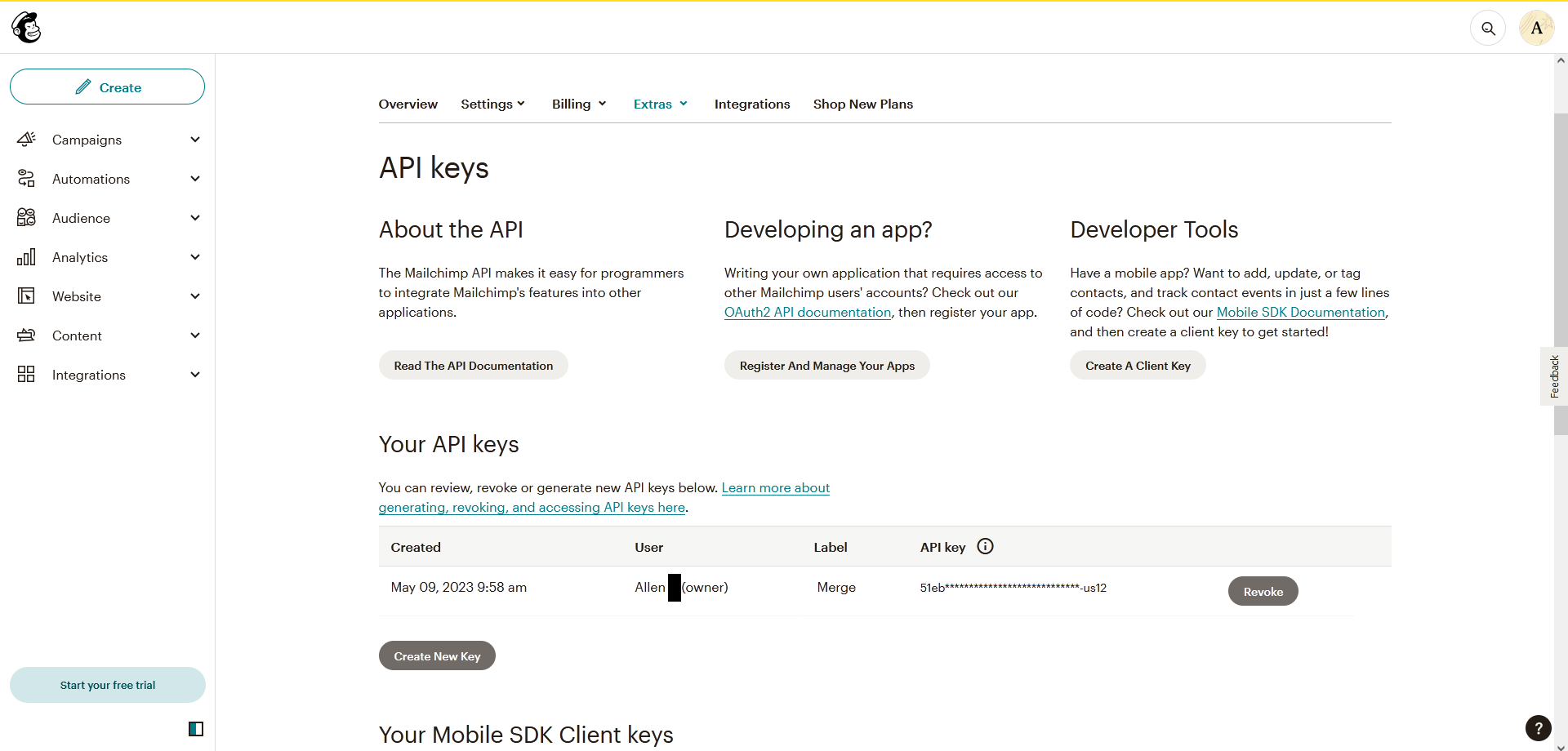 Mailchimp API keys section