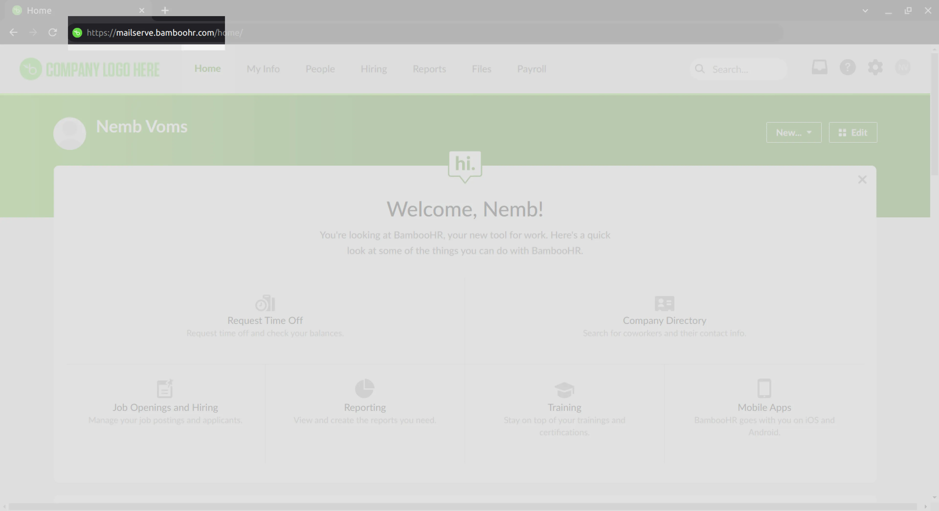 BambooHR subdomain