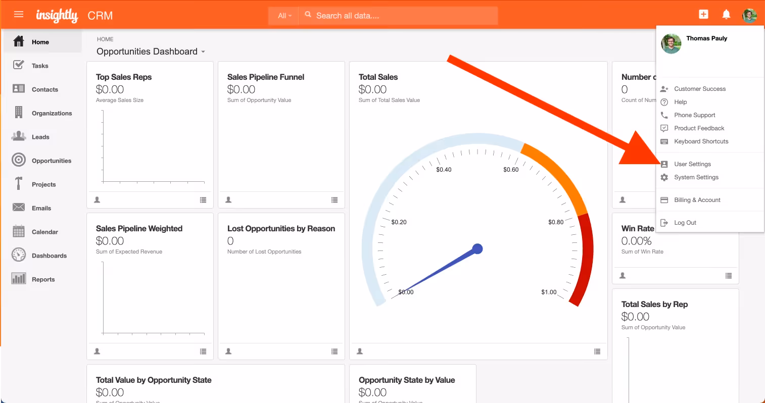 User settings in Insightly