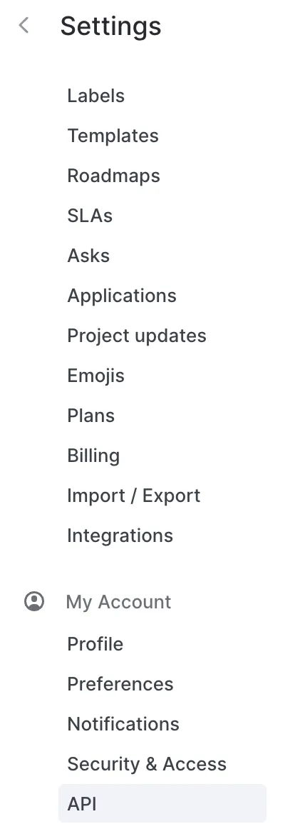 Clicking on "API" within the settings tab