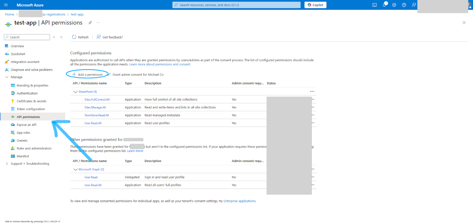 API permissions page