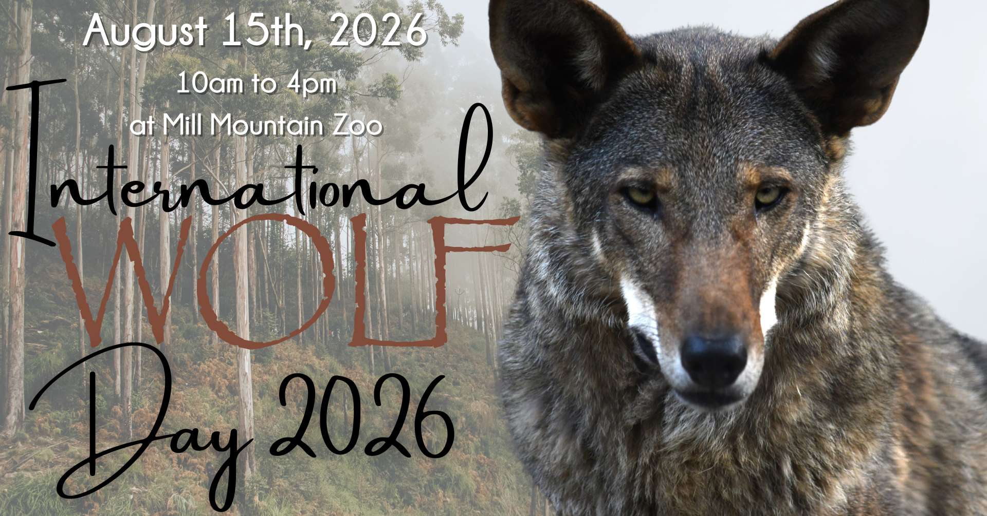 International Wolf Day
