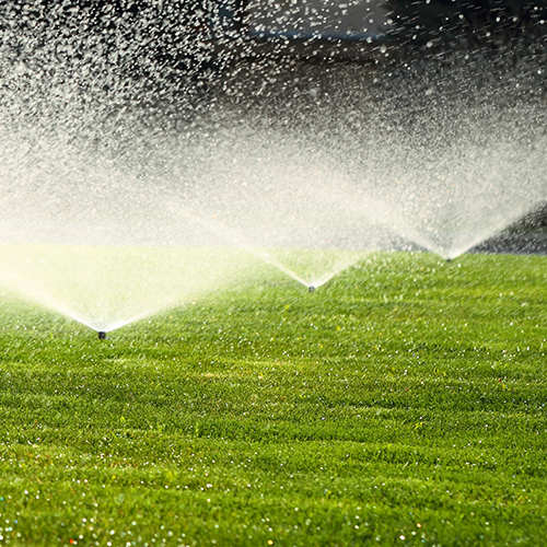 Irrigation system waters lawn