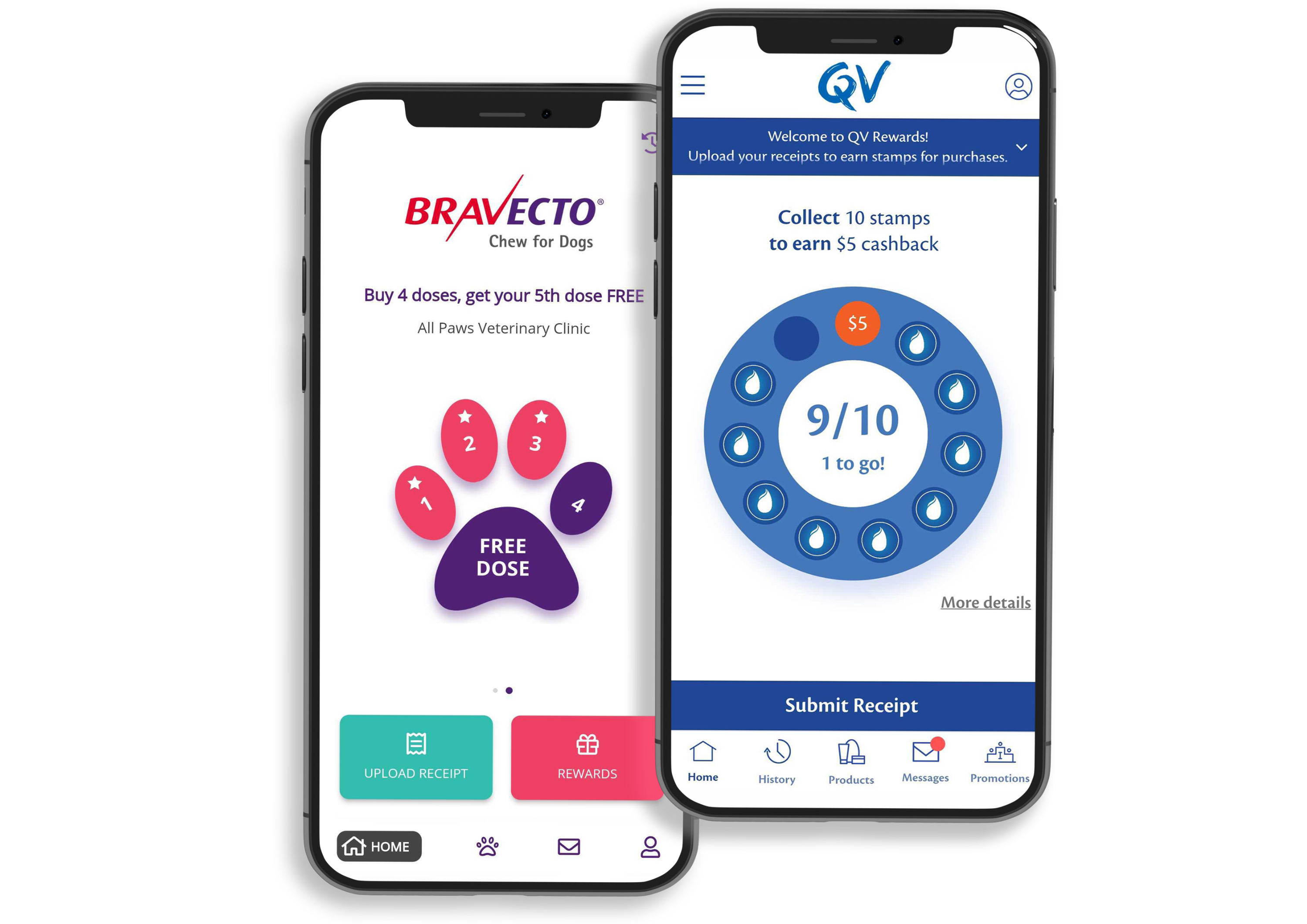 Example of two visit-based, progression principles in the QV app and Bravecto Rewards app.