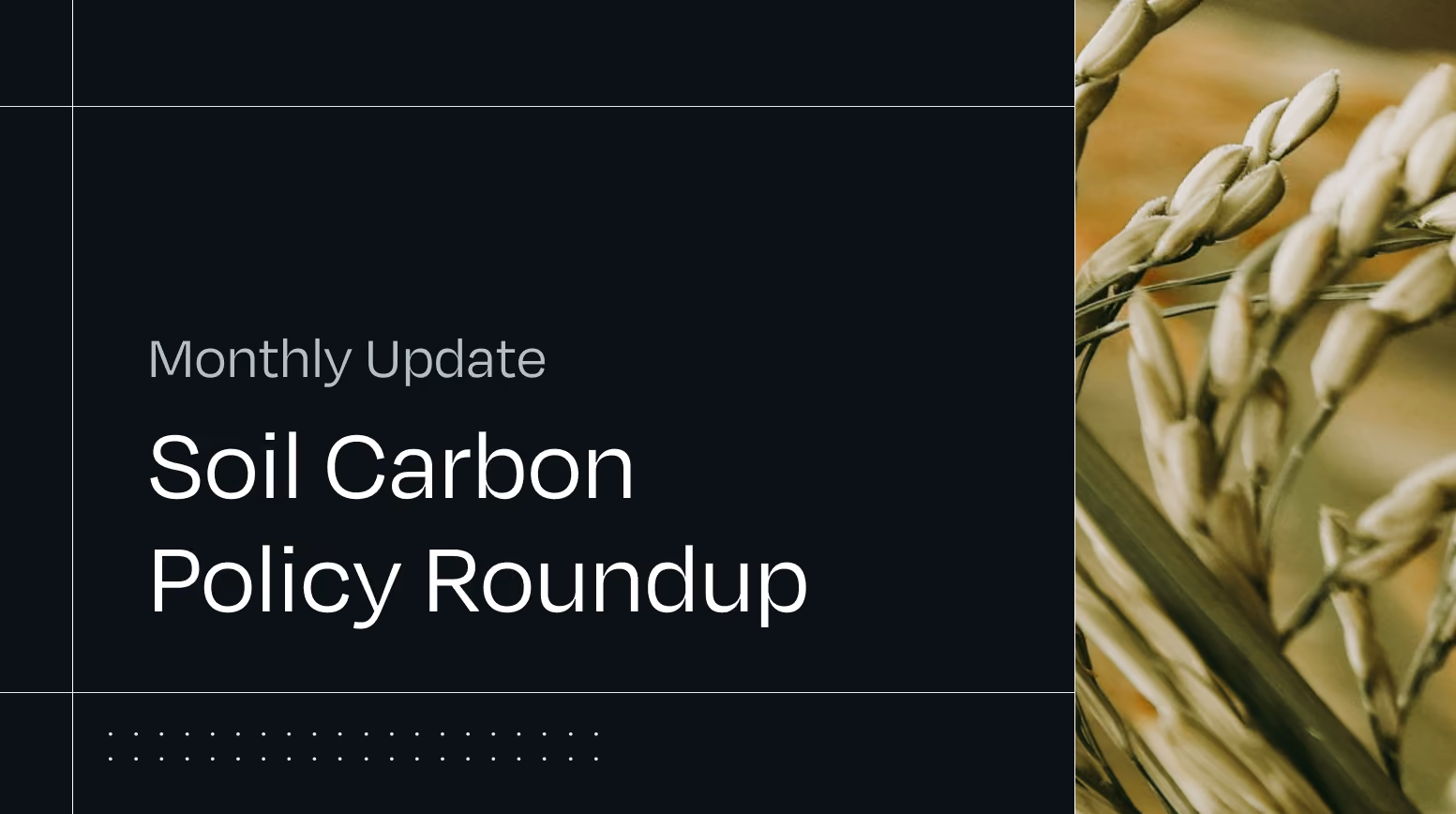 Soil carbon policy and standards: the latest changes and what they mean