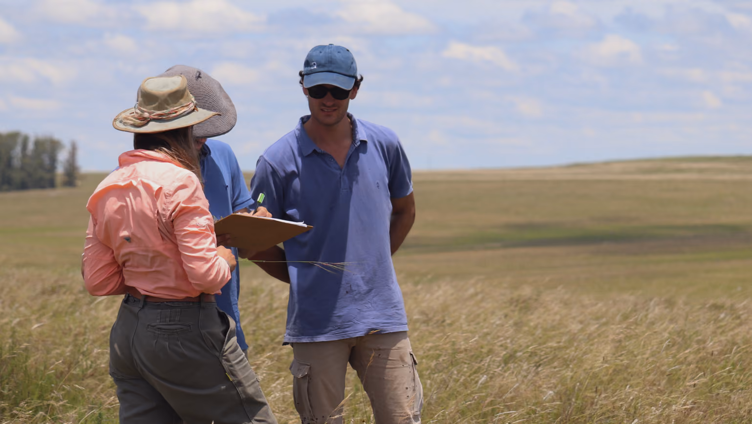 Perennial and Land to Market partner to bring farm-level emissions and soil carbon data to verified regenerative supply chains