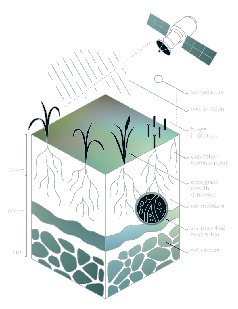 digital soil mapping