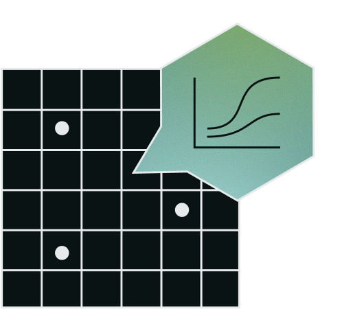 Digital Soil Mapping + Biogeochemical Model graphic