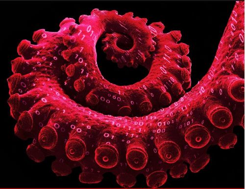 TikTok, Hospitals And Tutoring Apps: The Many Tentacles Of Chinese Tech Giant ByteDance