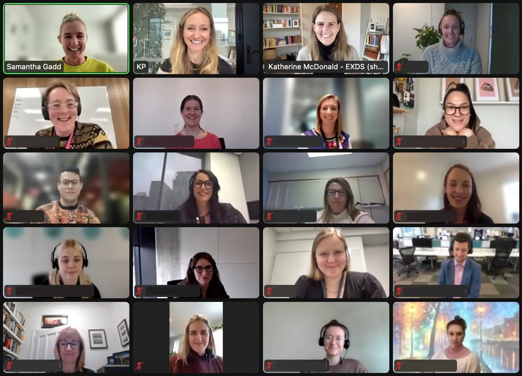 Screenshot of a Ex community call on zoom