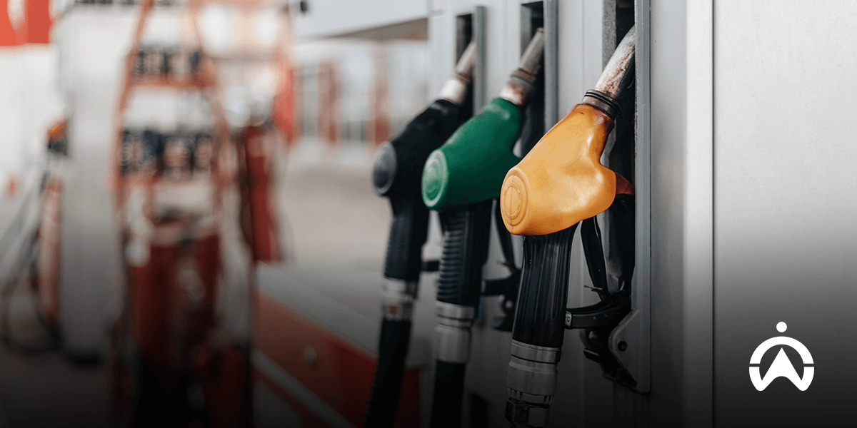 Close-up of fuel pumps at a gas station, featuring green, black, and yellow nozzles, with blurred background of pump station.